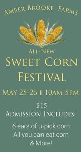Amber Brooke Farm Corn Festival