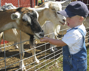 Kids Lake County and Sumter County: Animal Encounters - Fun 4 Lake Kids