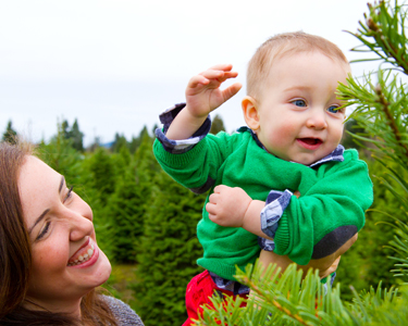 Kids Lake County and Sumter County: Christmas Tree Farms - Fun 4 Lake Kids