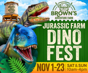 Brown and Brown's Farm Jurassic Farm