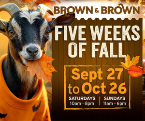 Browns Adventure Farms Fall Festival 