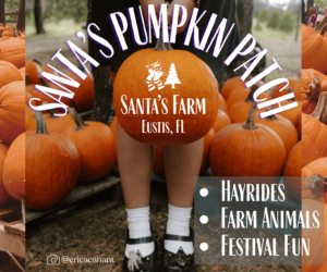 Santas Pumpkin Patch