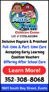 Ants Farm School