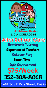 Ants Farm School