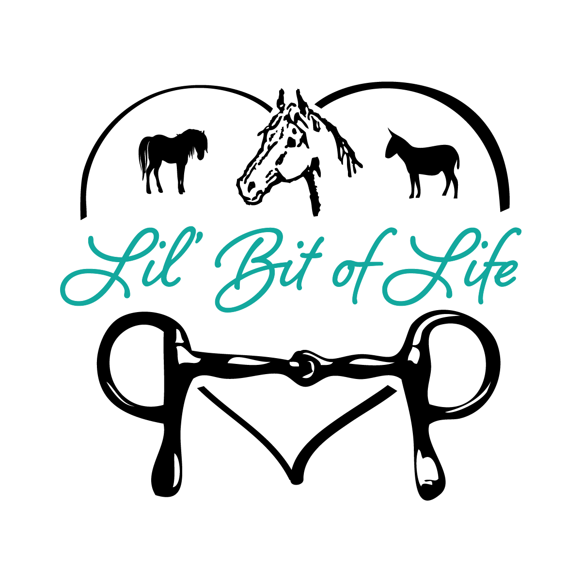 Lil Bit of Life 