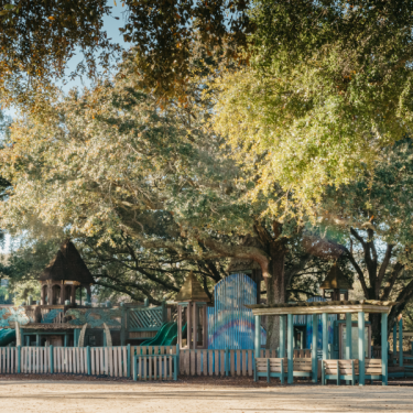 Paradise Park - Activity Spaces