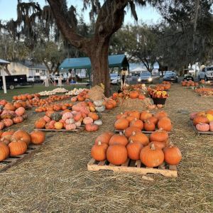 10/13-10/31 Montverde Pumpkin Patch