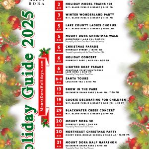 11/22 Light Up Mount Dora