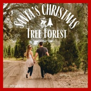 11/22-12/20 Santa's Farm and Christmas Tree Forest