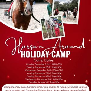 Horse'n Around for Christmas at Lil' Bit of Life Farm