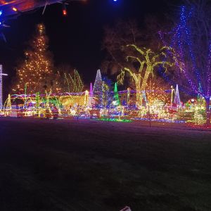 Thoroughbred Trail Lights in Sorrento