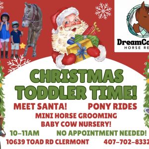 12/15 Christmas Toddler Time at DreamCatcher Horse Rescue