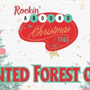 11/22-01/02 Enchanted Forest of Trees in Clermont
