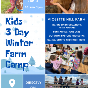 3 Day Winter Break Farm Camp at Violette Hill