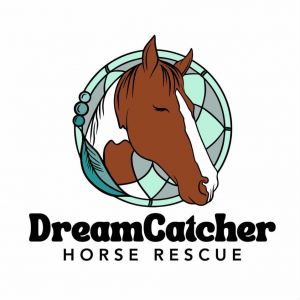DreamCatcher Horse Ranch & Rescue