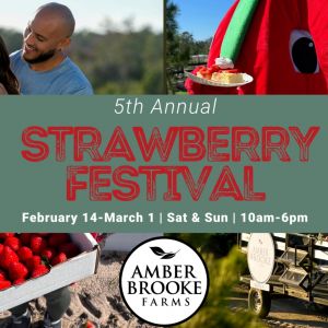 02/28-03/15 Strawberry Festival at Amber Brooke Farms