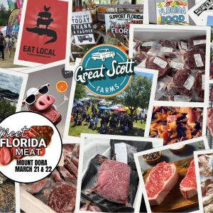 03/21-03/22  Meet Florida Meat