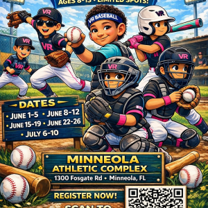VR Baseball Summer Camps