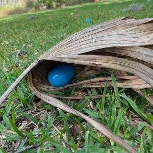 04/04 Eggs in the Park at Dade Battlefield Historic State Park