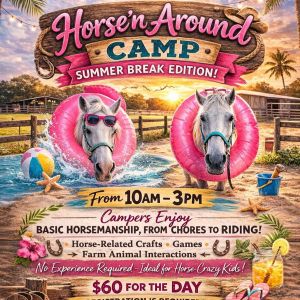 Lil' Bit of Life Horse'n Around Summer Camp