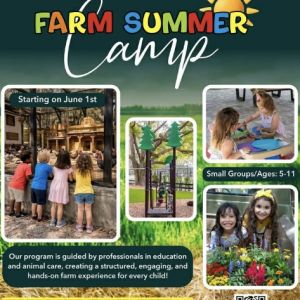 Summer Camp at Terra Verde Farm