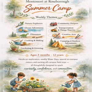 Montessori at Roseborough Summer Camp