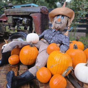 09/27 Harvest Jubilee at Lil Bit of Life