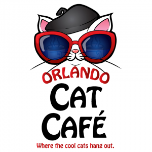 Orlando Cat Cafe - Parties