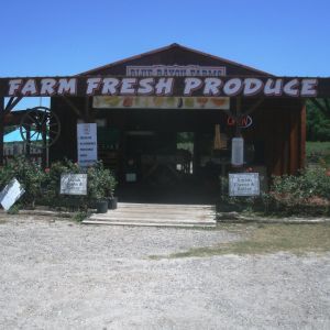 Blue Bayou Farms