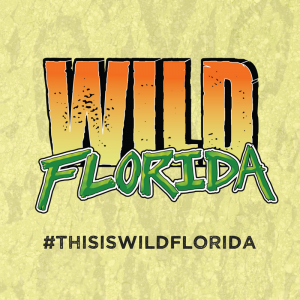 Wild Florida Airboat Tours and Wildlife Park
