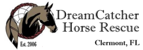 DreamCatcher Horse Ranch & Rescue