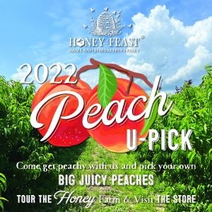 Peaches at Honey Feast Farm