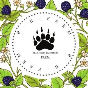 BearTracks Blackberry Farm