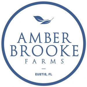 09/23-10/29 Amber Brooke Farms Fall Festival