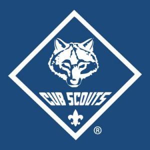 Cup Scouts