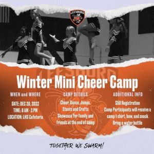 Winter Mini Cheer Camp