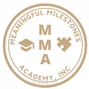 Meaningful Milestones Academy