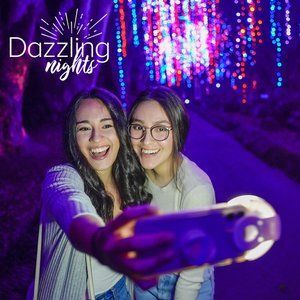 11/28-01/04 Dazzling Nights at Leu Gardens