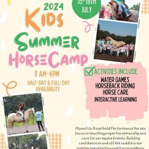 Rose Gold Performance Horses Kids Summer Horse Camp