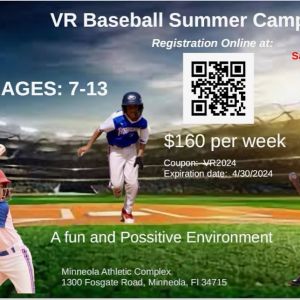 VR Baseball Summer Camps