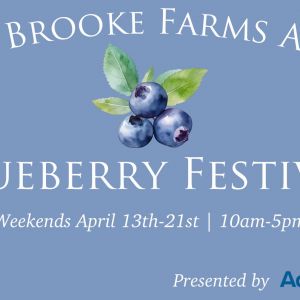 04/13-04/21 Blueberry Festival at Amber Brooke Farms
