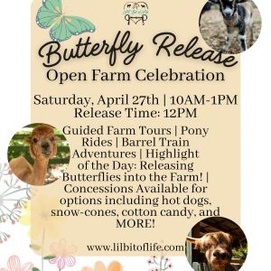04/27 Butterfly Release Celebration at Lil Bit of Life