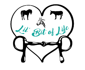 Lil' Bit of Life - Horse'n Around Summer Camp
