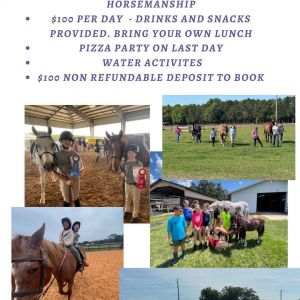Peri Lee Show Horses LLC Summer Camp