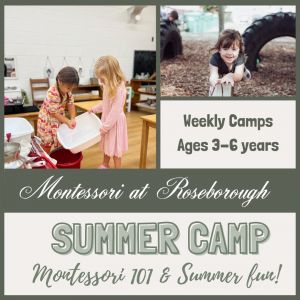 Montessori at Roseborough Summer Camp