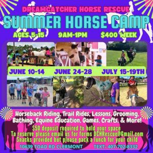 DreamCatcher Horse Rescue Summer Camp