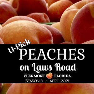 Peaches on Laws Road