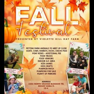 09/28-10/27 Fall Festival at Violette Hill Hay Farm