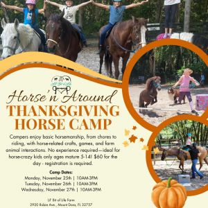 Lil Bit Of Life Horse'n Around Thanksgiving Camp