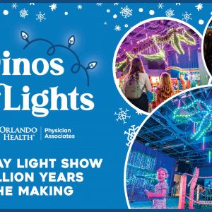 11/09-01/09 Dinos in Lights at Orlando Science Center